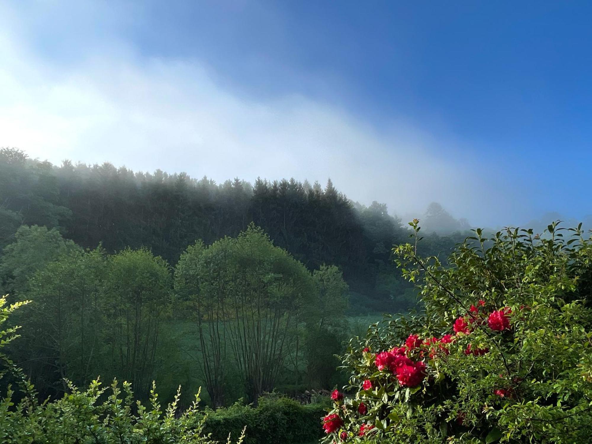 House With A View - Modernes Ferienhaus In Der Eifel Vila Antweiler Exterior foto